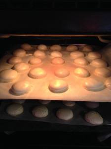 11351279_10206000561549205_7746906870257160322_n