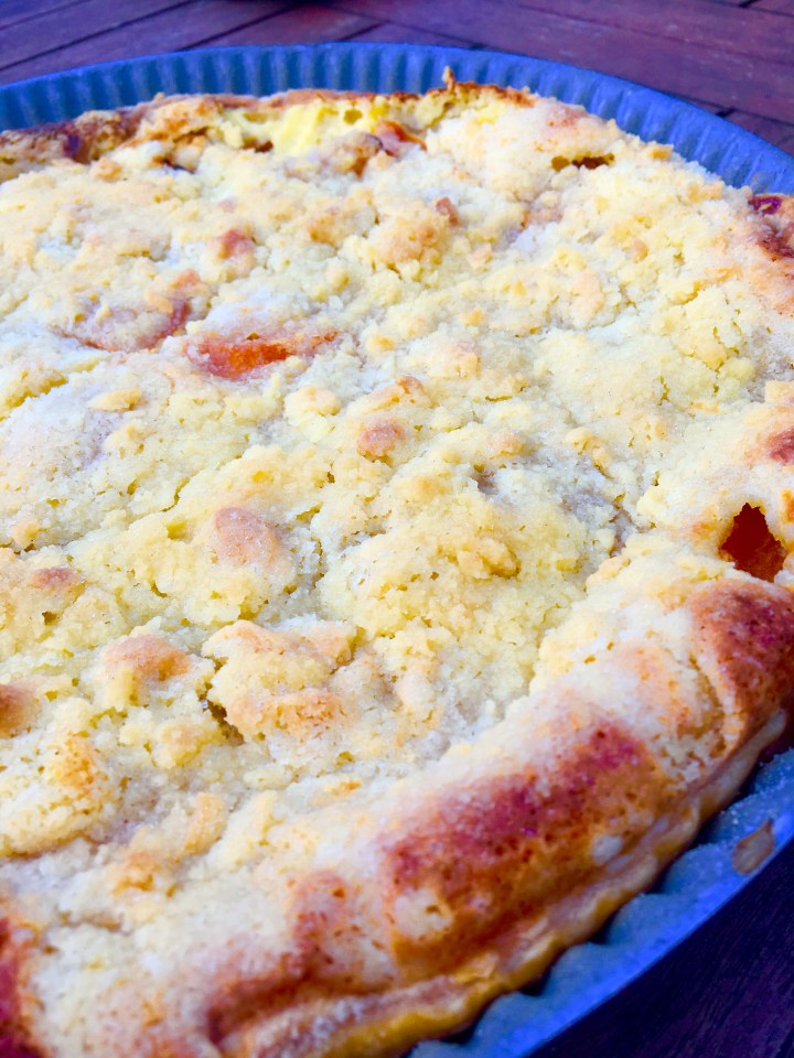 croustade aux abricots (2)