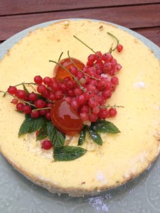 cheesecake citron groseilles clémentines confites