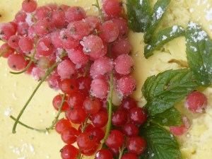 cheesecake citron groseilles
