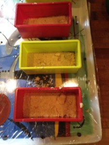 Cheesecake sale aux Tuc et aux radis