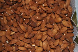 almond-13673__180