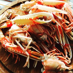 carcasses de langoustines