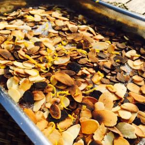 moelleux amande citron.jpg4