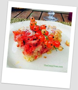 delice aux groseilles.jpg9