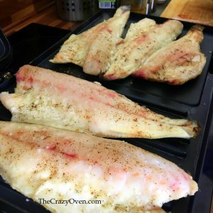 Filet de bars à la plancha