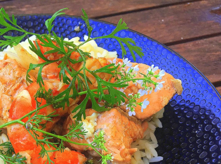 mon wok saumon crevette fleur de coriandre
